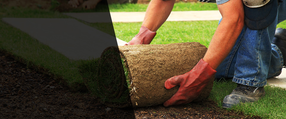 Fair Grove Landscapers